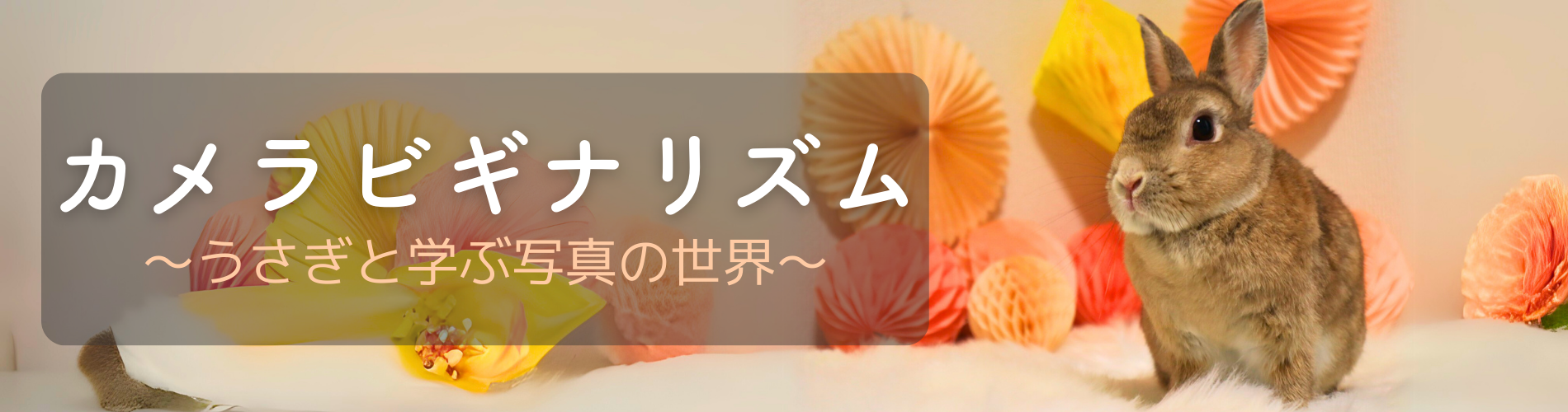 カメラビギナリズム